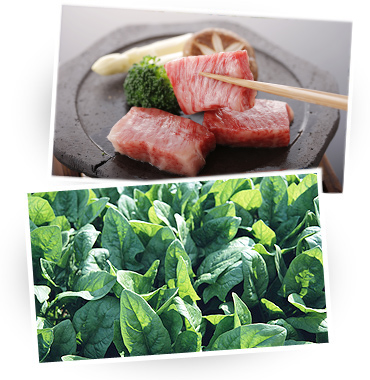 食材